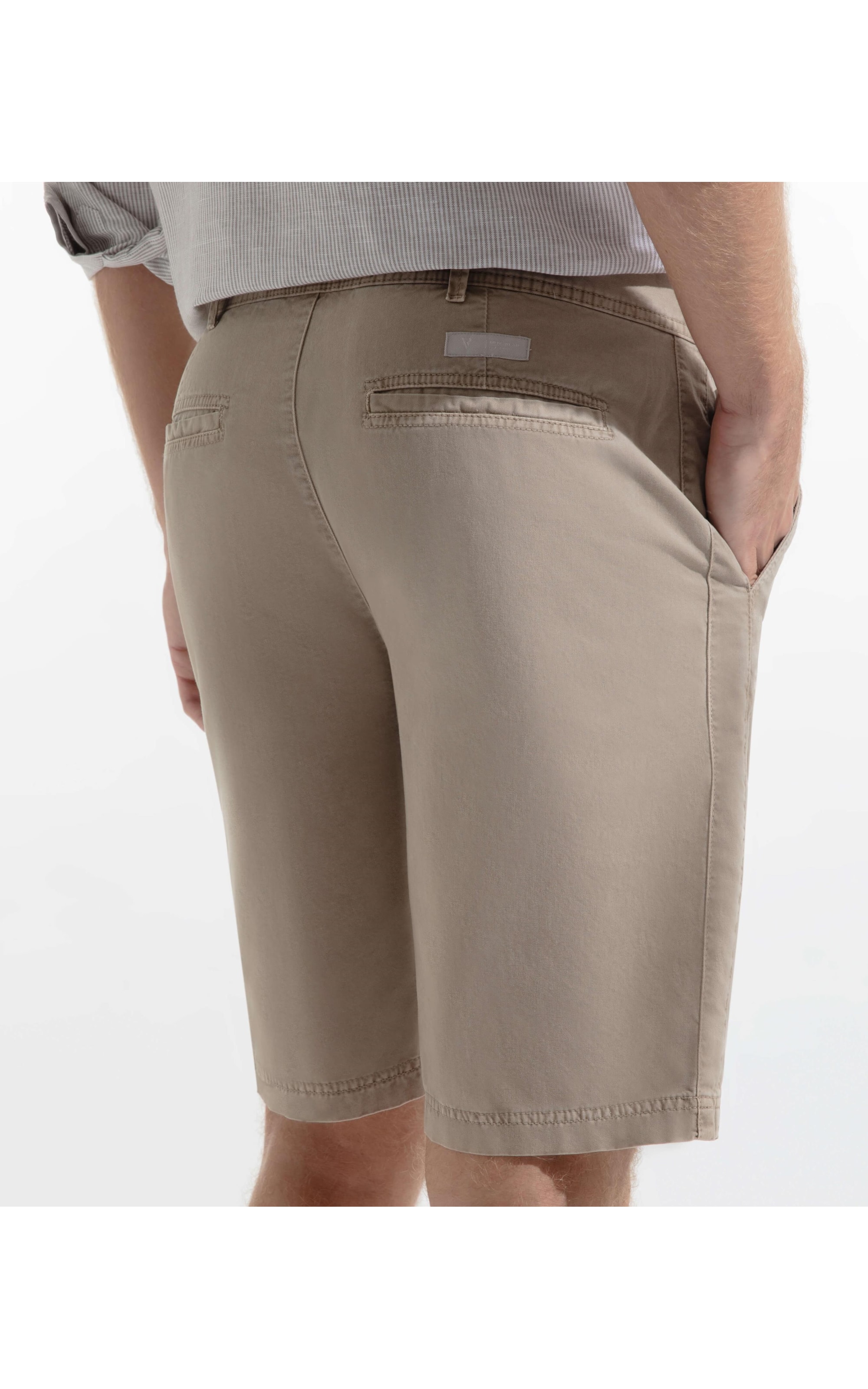 Bermuda Chino Color Husk