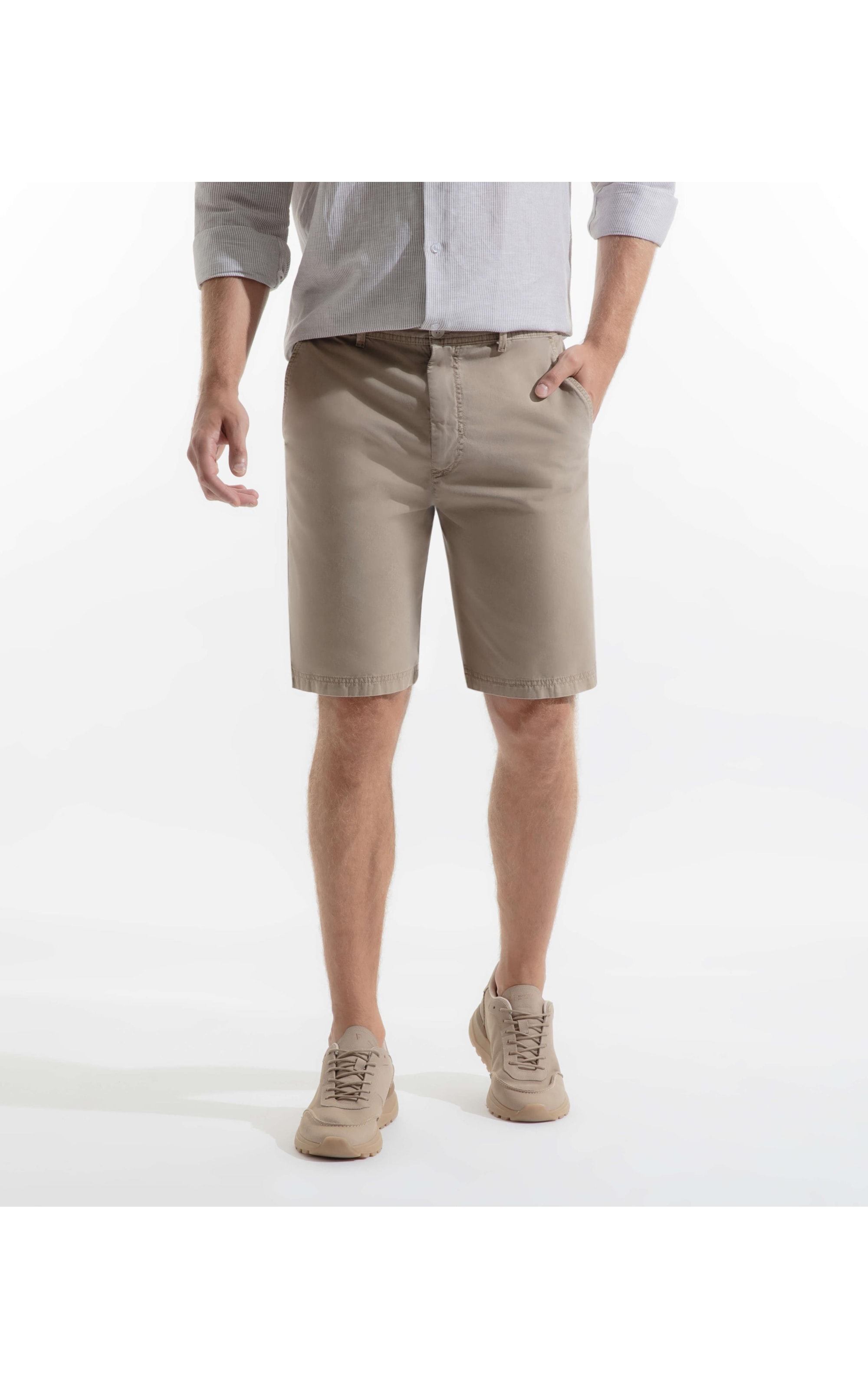 Bermuda Chino Color Husk
