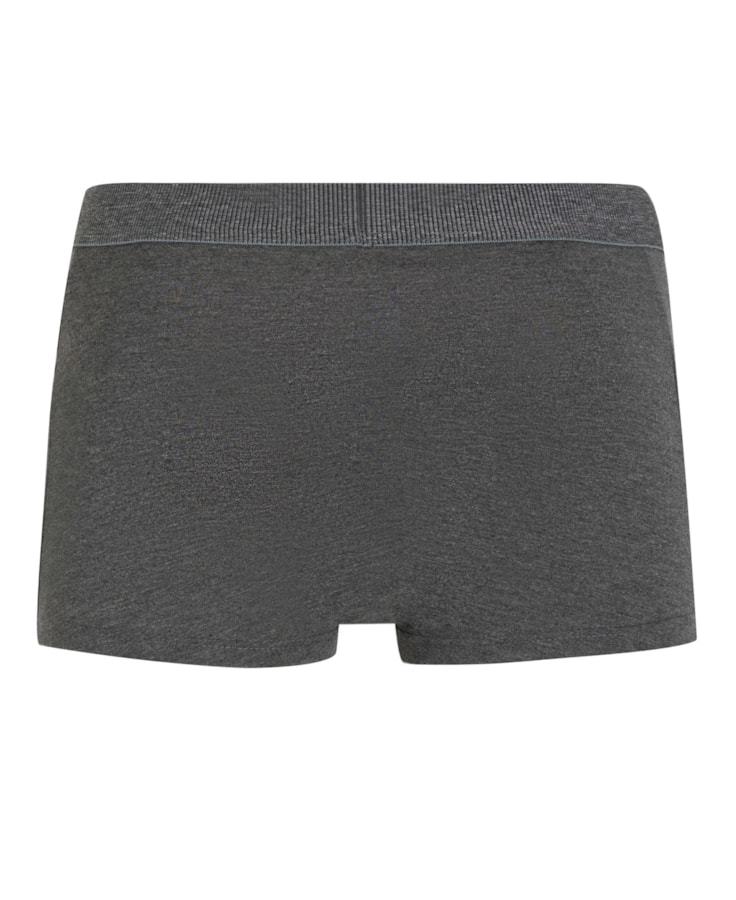 Boxer Básica Chumbo Mescla