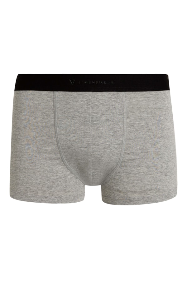 Boxer Basica Elastico Lis Com Silk Gelvr Cinza Mescla