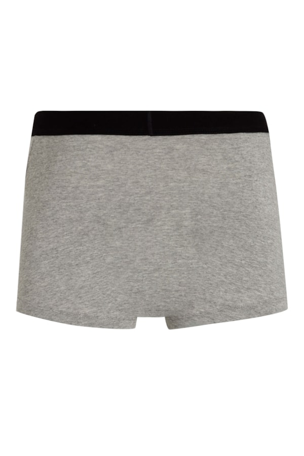 Boxer Basica Elastico Lis Com Silk Gelvr Cinza Mescla