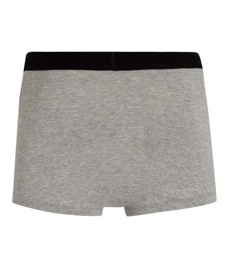 Boxer Basica Elastico Lis Com Silk Gelvr Cinza Mescla